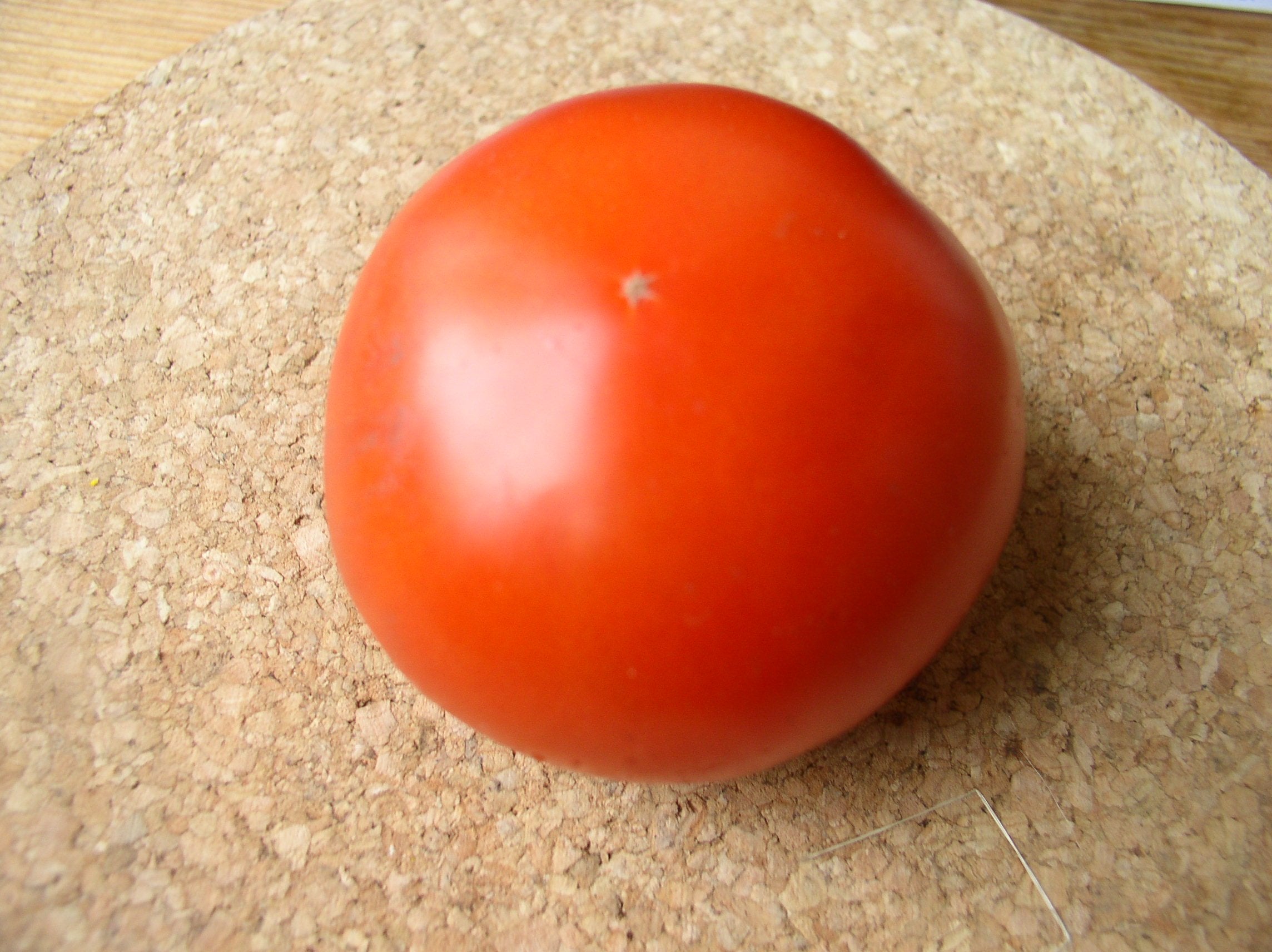 your-source-for-personalized-0290-raf-tomate-hot-on-sale_0.jpg
