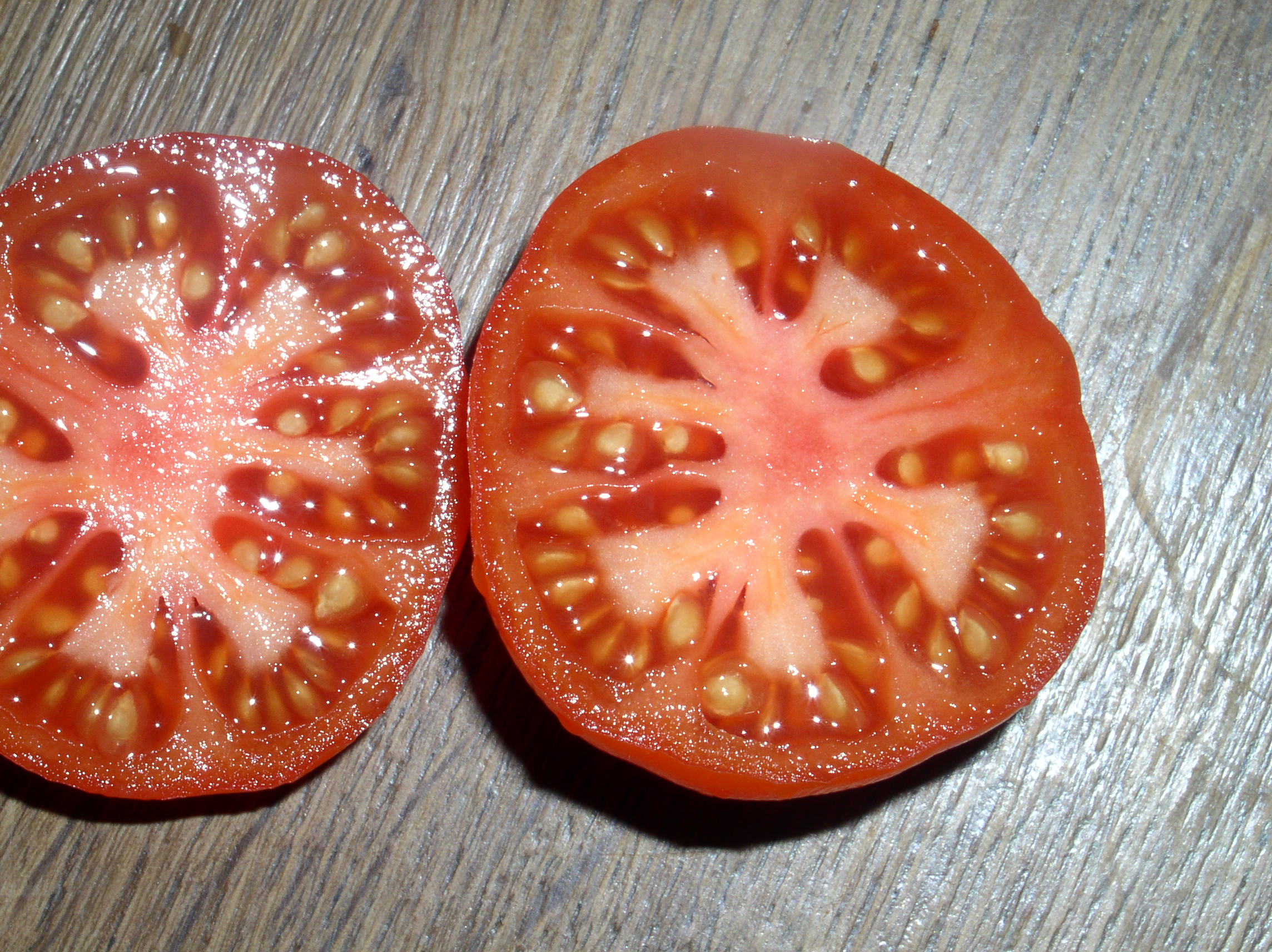 your-source-for-personalized-0290-raf-tomate-hot-on-sale_1.jpg