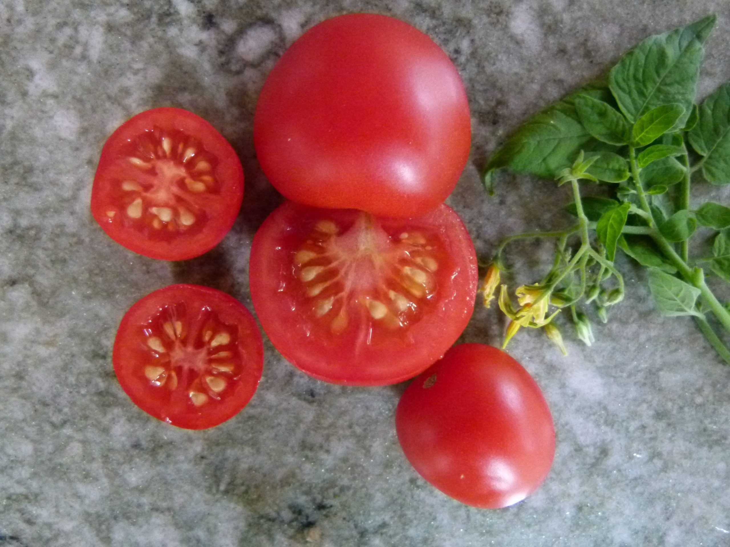 find-your-new-favorite-0442-freilandtomate-clarita-sale_0.jpg